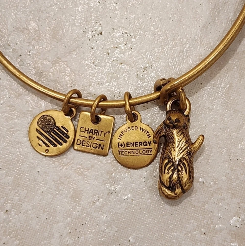 Alex And Ani Charity Sea Otter Gold Finish Expandable Bangle Bracelet - Picture 2 of 6